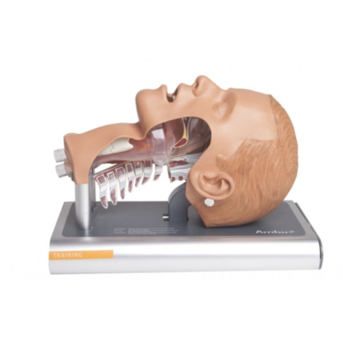 Simulateur d'Intubation Ambu