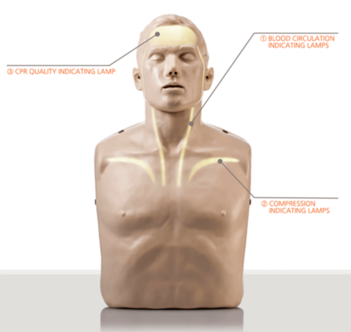 Mannequin de formation Brayden - Eclairage LED rouge - 10432