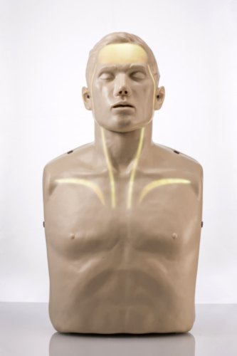 Brayden PRO mannequin - Eclairage LED blanc - 5450