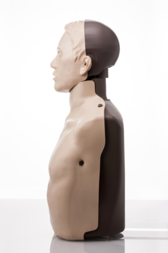Mannequin de formation Brayden - Eclairage LED blanc - 5376