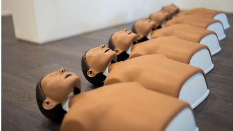 Mise &agrave; jour du Mannequin Laerdal Little Anne Empilable