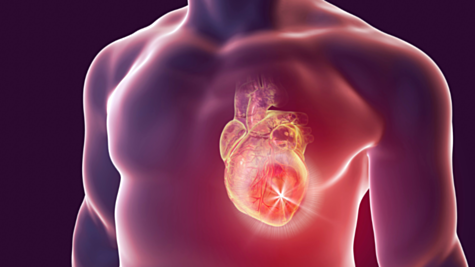 Que se passe-t-il lors d&rsquo;un arr&ecirc;t cardiaque 